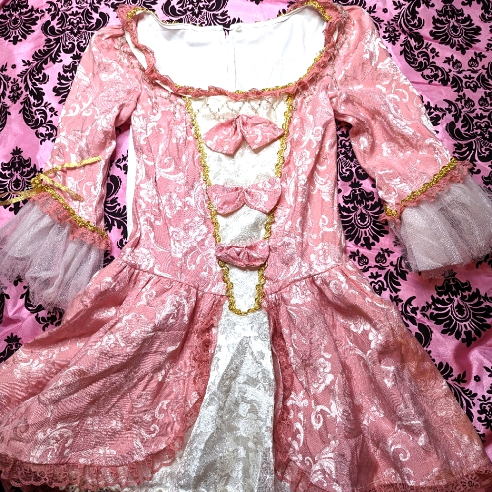 COPY - Marie Antoinette cosplay dress